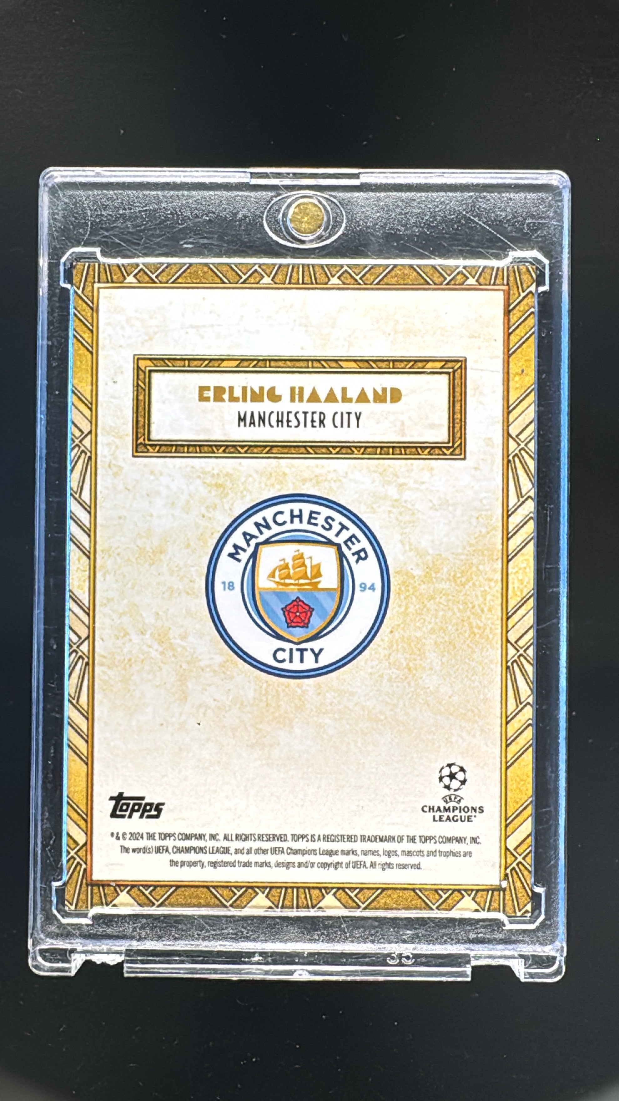 Erling Haaland /1